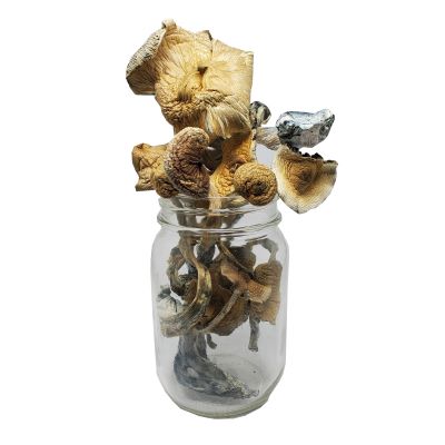 Tosohatchee Magic Mushrooms - 5g